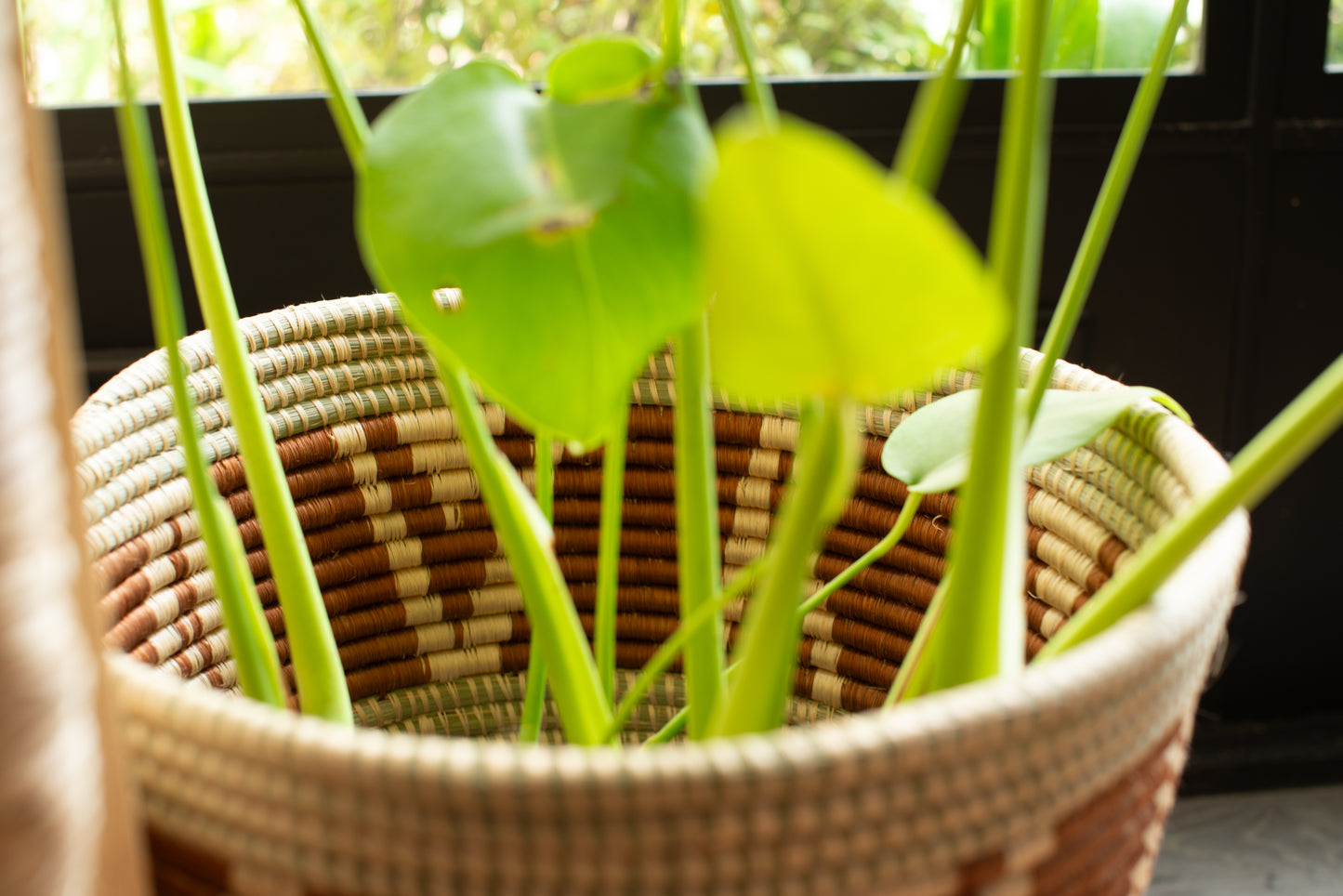IDENTITY Basket Itana
